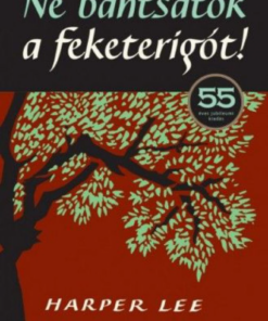 Ne bántsátok a feketerigót! - Image 2