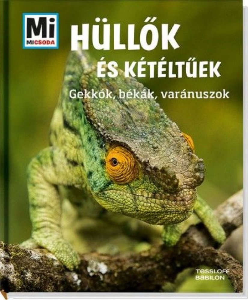 Mi micsoda: Hüllők és kétéltűek - Gekkók, békák, varánuszok - Image 2