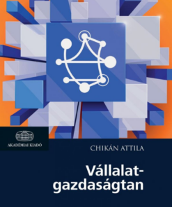 Vállalat-gazdaságtan - Image 2