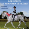 Testre szabott lókiképzés az anatómia tükrében