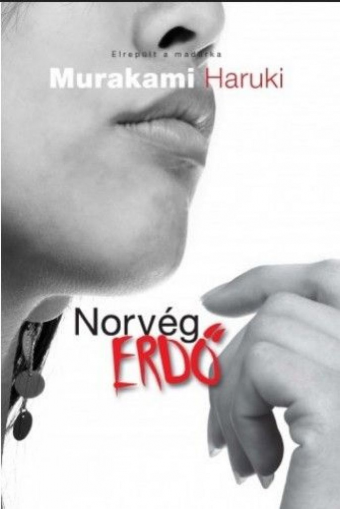 Norvég erdő - Image 2