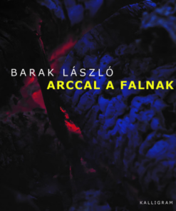 Arccal a falnak