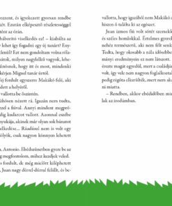 A mi csapatunk 1. - Az első meccs - Image 3