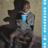 40 days in an orphanage in Kenya - A diary novel