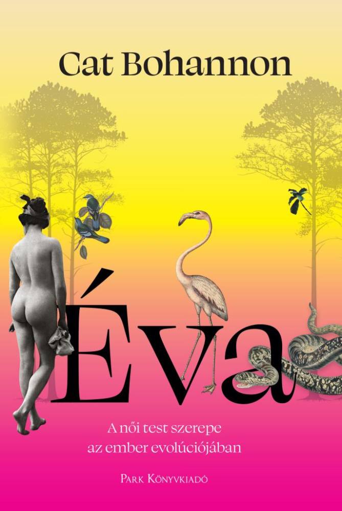 Éva