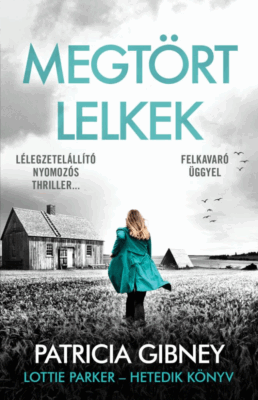 Megtört lelkek – Lottie Parker 7.