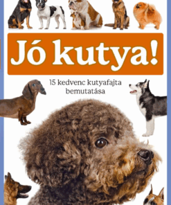 Jó kutya!