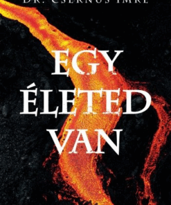 Egy életed van
