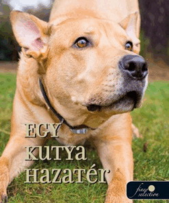 Egy kutya hazatér (Egy kutya hazatér 1.)