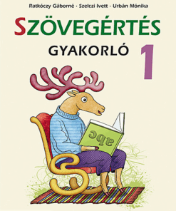 Szövegértés gyakorló 1. osztály (MS-1662U)