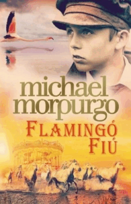 Flamingó fiú