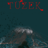 Tüzek