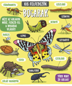 Kis felfedezők - Bogarak