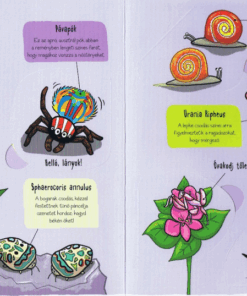 Kis felfedezők - Bogarak - Image 2