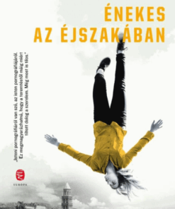 Énekes az éjszakában
