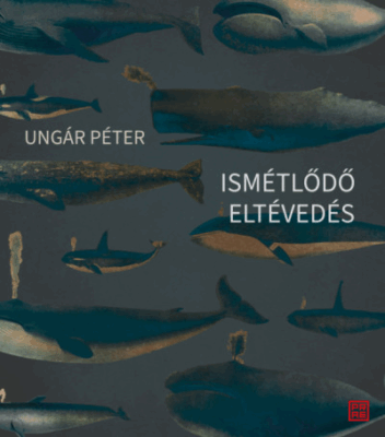 Ismétlődő eltévedés