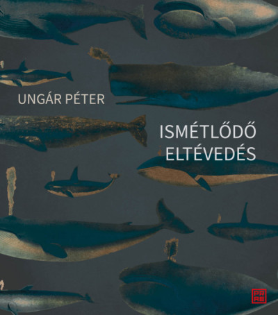 Ismétlődő eltévedés