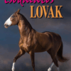 Óh, azok a csodálatos lovak