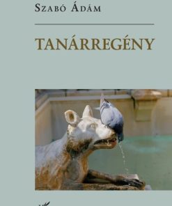 Tanárregény