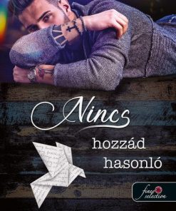 Nincs hozzád hasonló
