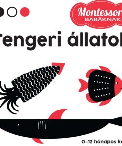 Tengeri állatok - Montessori babáknak