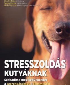 Alternative view of Stresszoldás kutyáknak