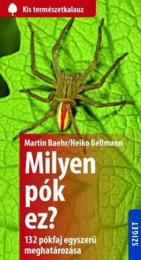 Milyen pók ez? - 132 pók egyszerű meghatározása - Image 2