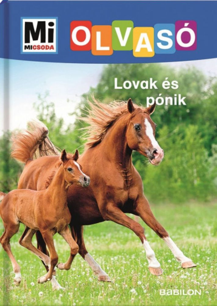 Lovak és pónik - Mi Micsoda Olvasó - Image 2