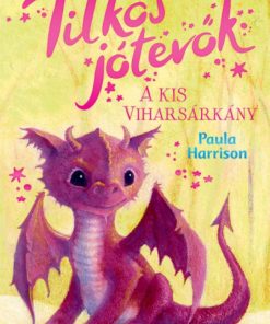 Titkos jótevők - A kis viharsárkány - Image 2