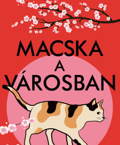 Macska a városban