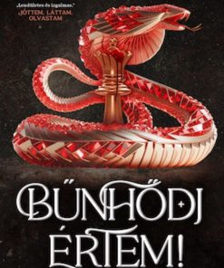 Bűnhődj értem!