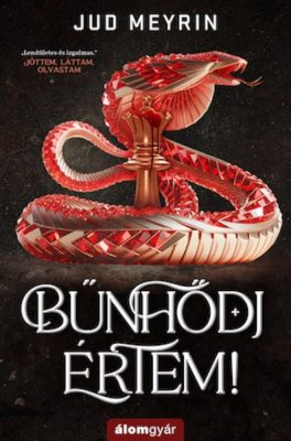 Bűnhődj értem!