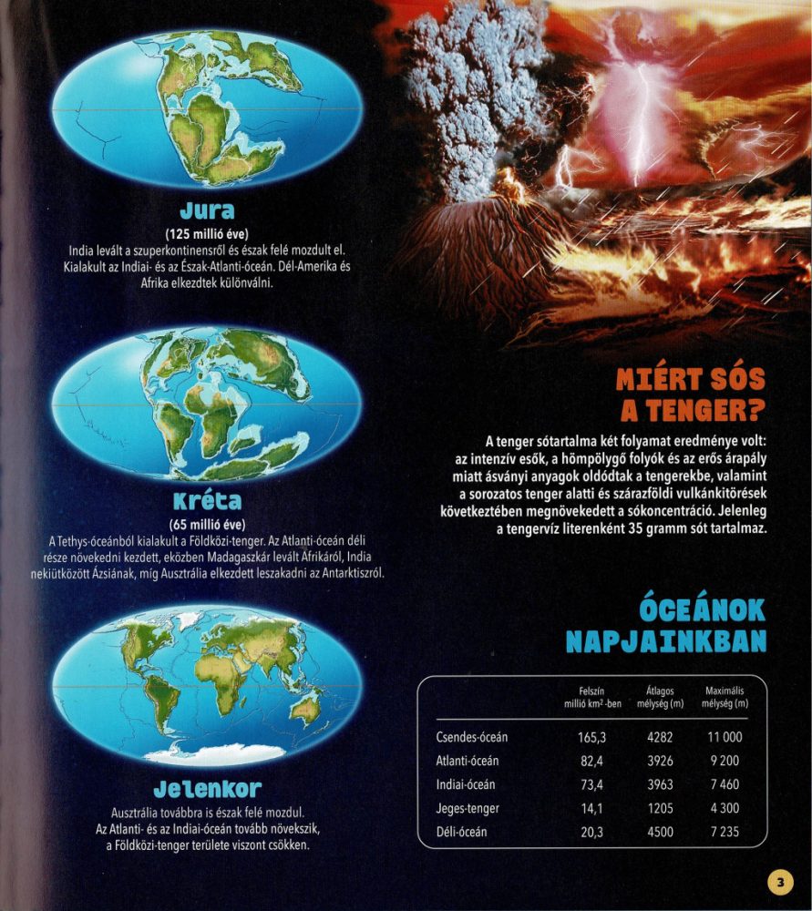 Dioráma - Tengeri állatvilág - Image 3
