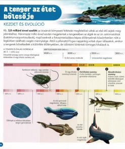 Dioráma - Tengeri állatvilág - Image 4