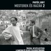 Mesterek és hazák 2.
