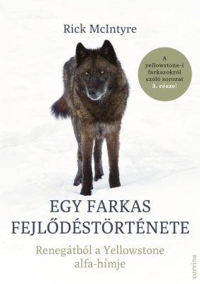 Egy farkas fejlődéstörténete