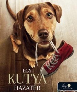 Egy kutya hazatér
