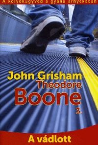 Theodore Boone 3.: A vádlott