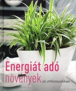 Energiát adó növények az otthonunkban