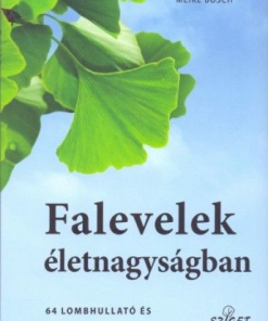 Falevelek életnagyságban - Image 2