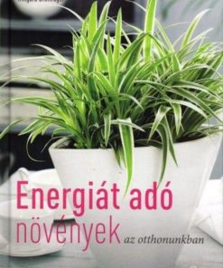 Energiát adó növények az otthonunkban - Image 2