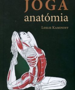 Jóga anatómia - Image 2