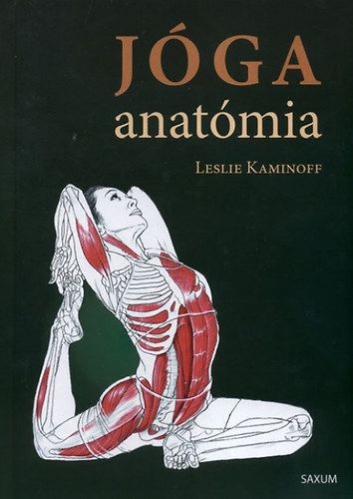 Jóga anatómia - Image 2