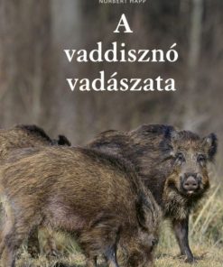 A vaddisznó vadászata - Image 2