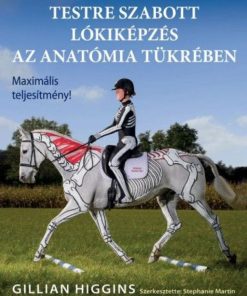 Testre szabott lókiképzés az anatómia tükrében - Image 2