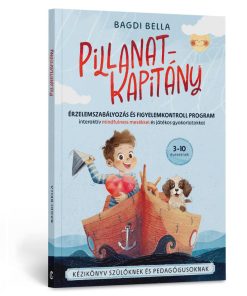 Pillanatkapitány