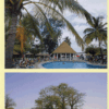 Gambia