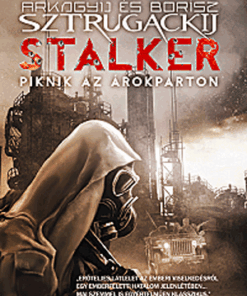 Stalker - Piknik az árokparton