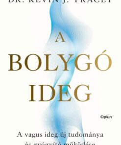 A bolygóideg