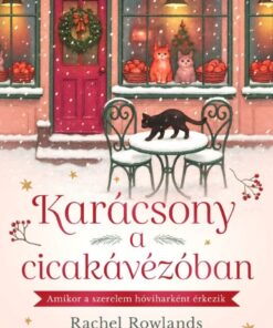 Karácsony a cicakávézóban